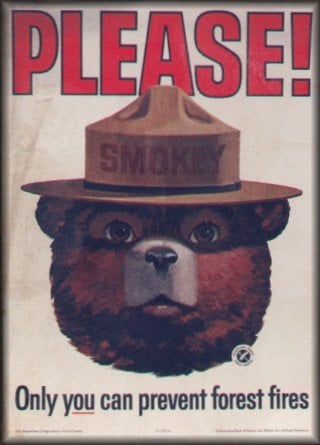 Smokey The Bear